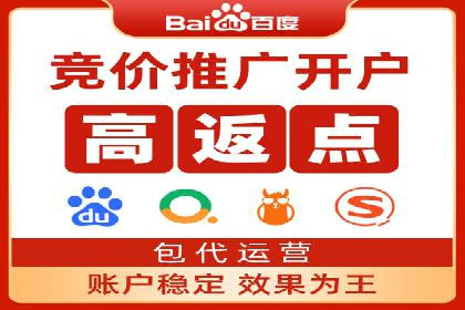深入解析SEM竞价托管的成功案例